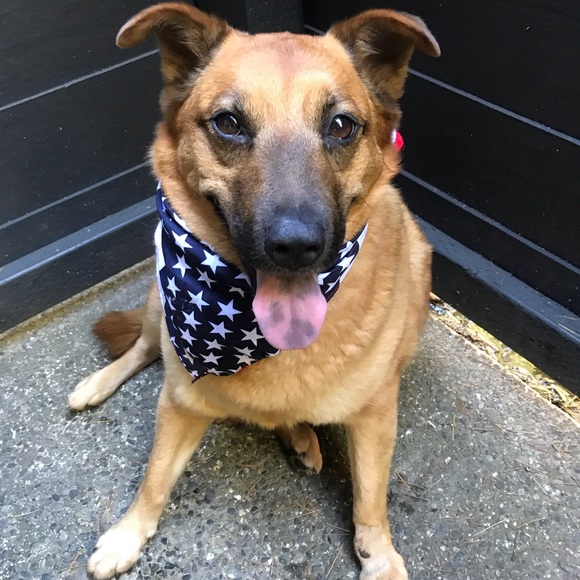 Meet your Posher, Becca - Picture 4 of 4